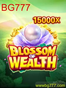 Explorando o Mundo de BlossomofWealth: Um Guia Completo para Iniciantes